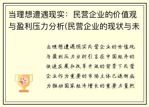 当理想遭遇现实：民营企业的价值观与盈利压力分析(民营企业的现状与未来发展)