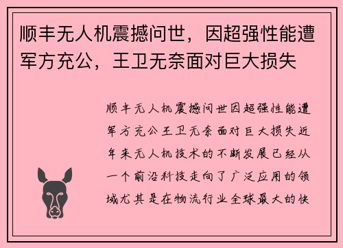 顺丰无人机震撼问世，因超强性能遭军方充公，王卫无奈面对巨大损失